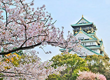 8868体育平台：让热爱变成日常的全新体育体验